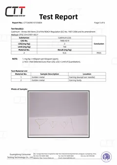 Report No. CTT26090107358EN – page 5