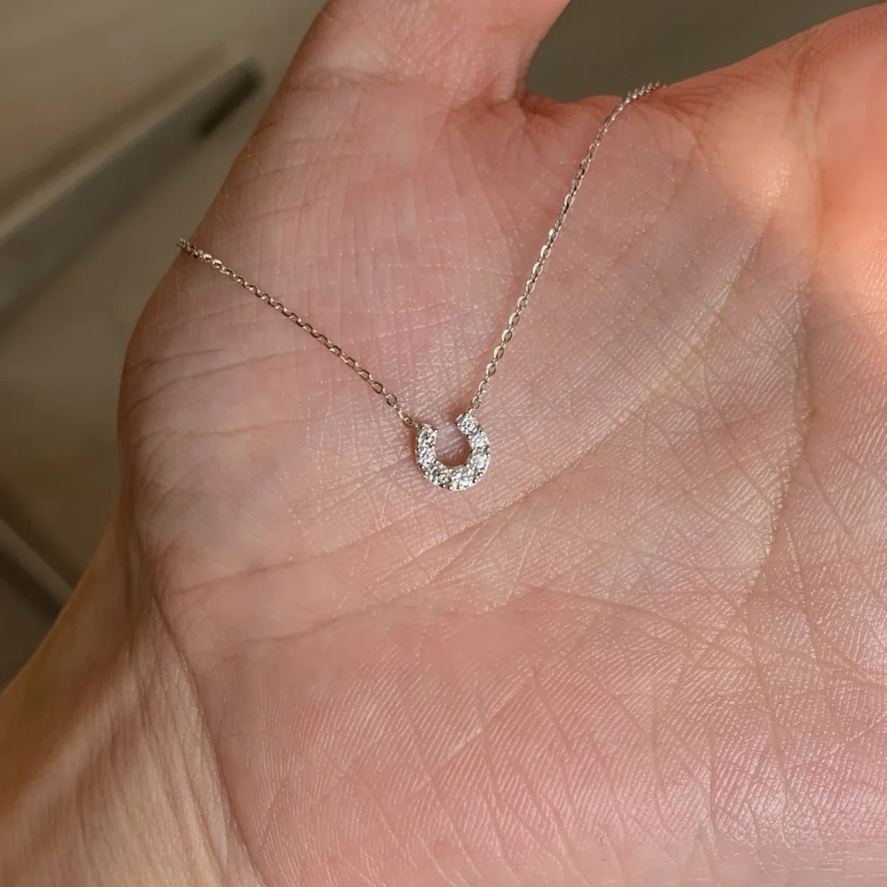 Dainty 925 Sterling Silver Pave Horseshoe Fine Chain Necklace