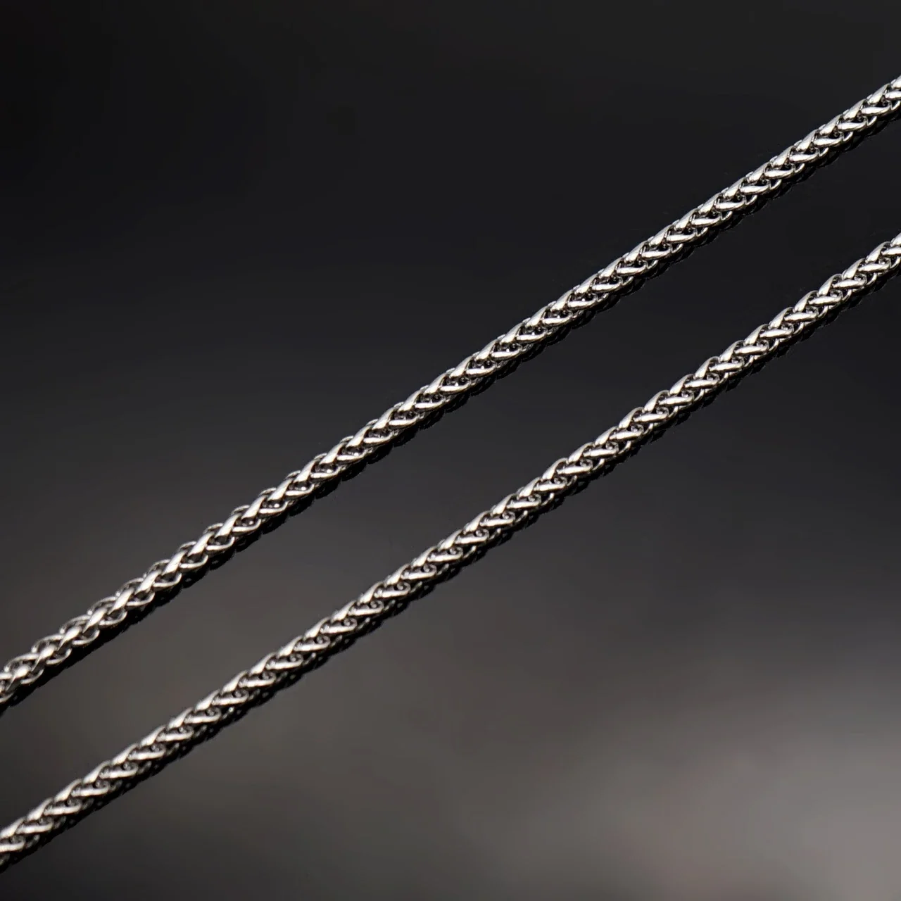 Octagonal Lion Medallion Stainless Steel Crystal Necklace - Steel 30 mm with 60 cm